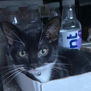 Meet your Posher, Ethan